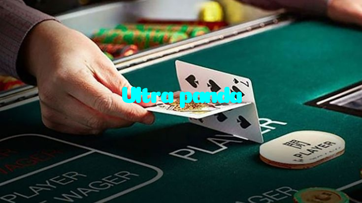 آفیشل ریئل منی اسپورٹس بک اور پریمیم آن لائن کیسینو نیٹ ورک پاکستان